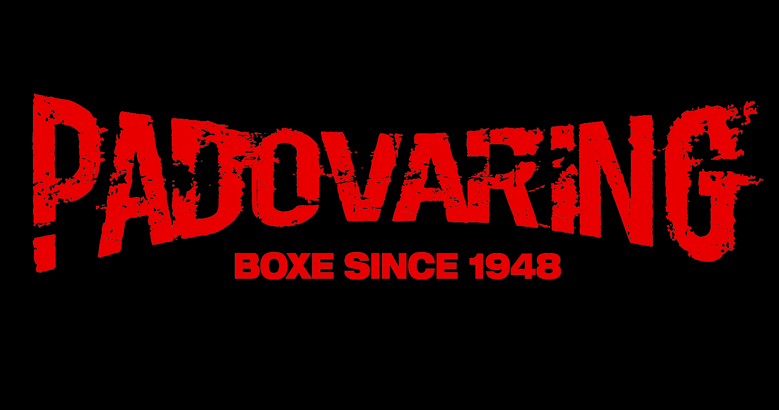 padova-ring_logo